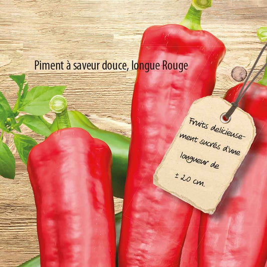 Poivron Medrano F1 - Bakker