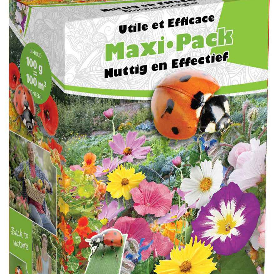 Graines de fleurs pour potager en mélange - 100 m² - Bakker