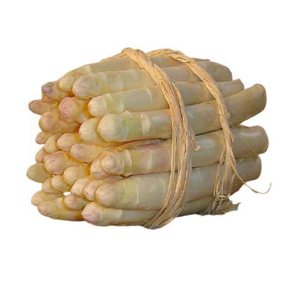 Vente 10 Asperges Argenteuil - Asparagus officinalis argenteuil