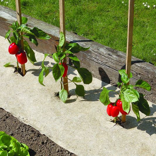 Bakker - Toile de paillage naturel biodégradable chanvrelin - Potager