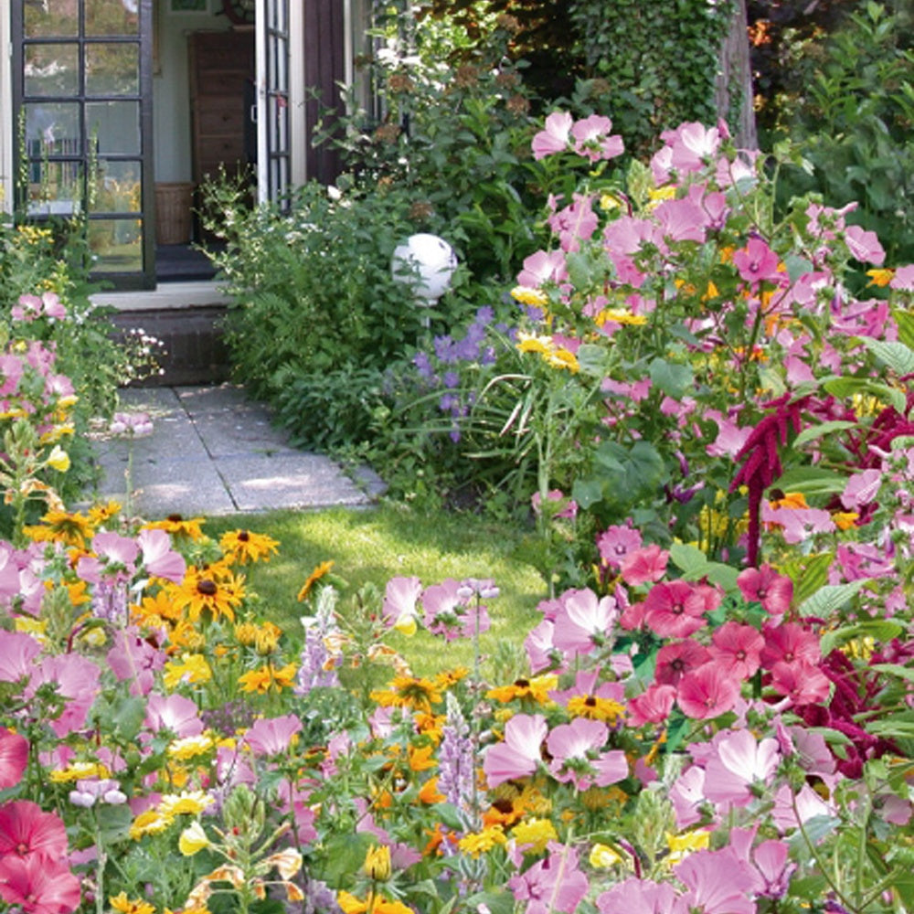 Graines de fleurs annuelles Cottage Garden en mélange - 5 m² - Bakker