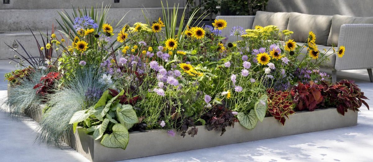 Les tendances jardin de 2022