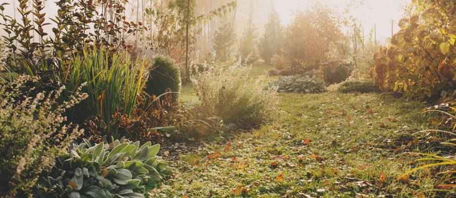Check-list : préparez votre jardin, terrasse ou balcon pour l'hiver