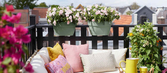 Quelles plantes choisir pour votre balcon en fonction de son exposition?