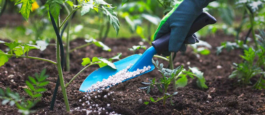 Tout ce que vous devez savoir sur la fertilisation de votre jardin