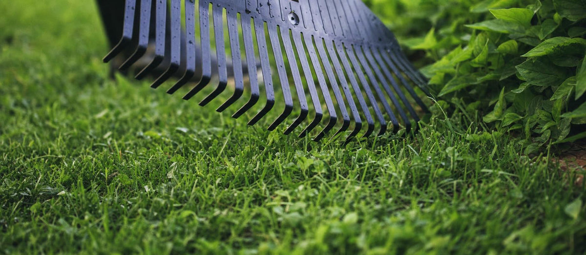 Comment entretenir votre gazon