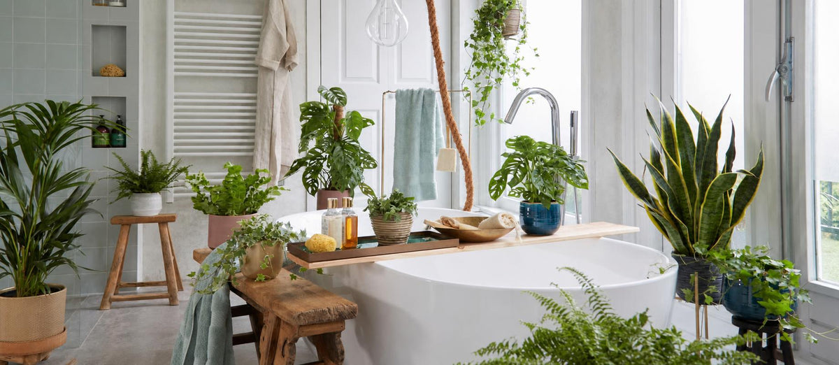 Créez votre propre spa à domicile
