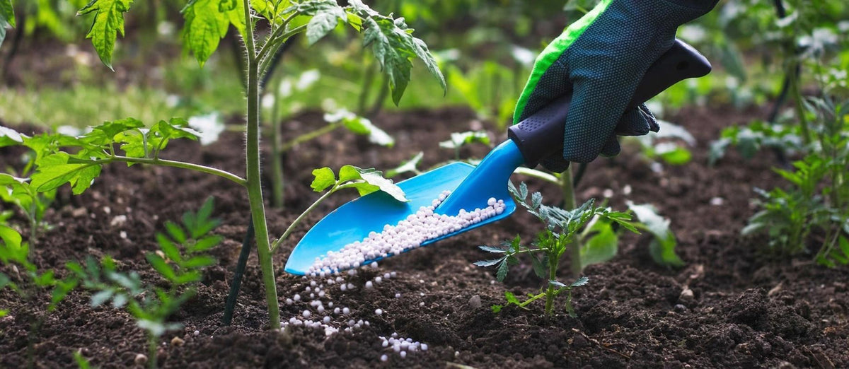 Tout ce que vous devez savoir sur la fertilisation de votre jardin