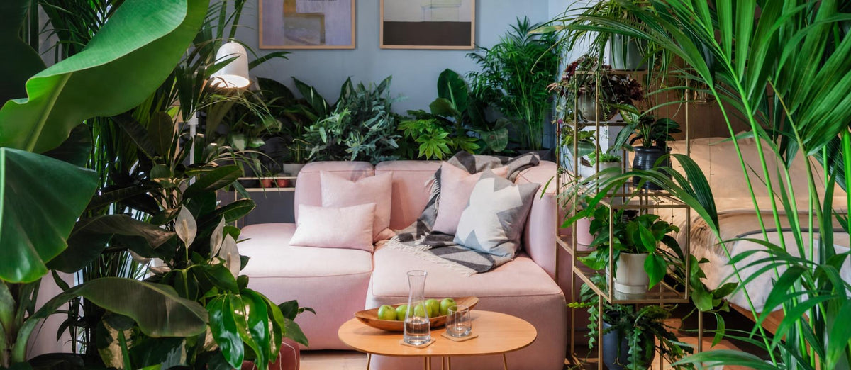 Créez votre propre jungle urbaine
