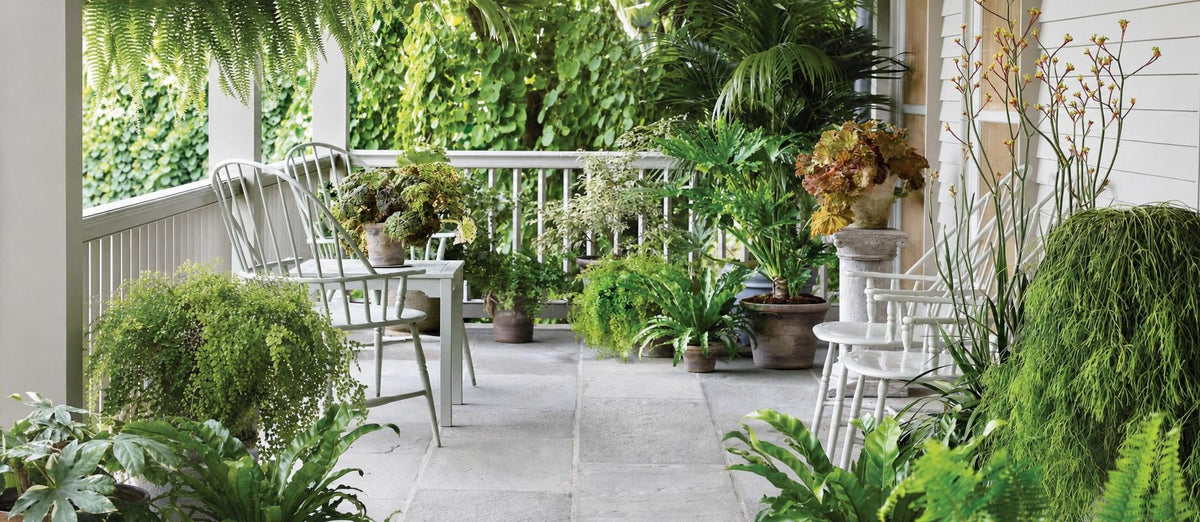 Transformez votre jardin en une jungle urbaine!