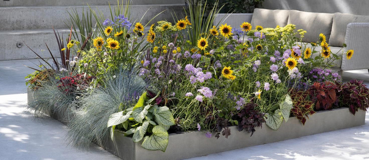Kits pour bordures : la solution prête à l'emploi pour un jardin coloré