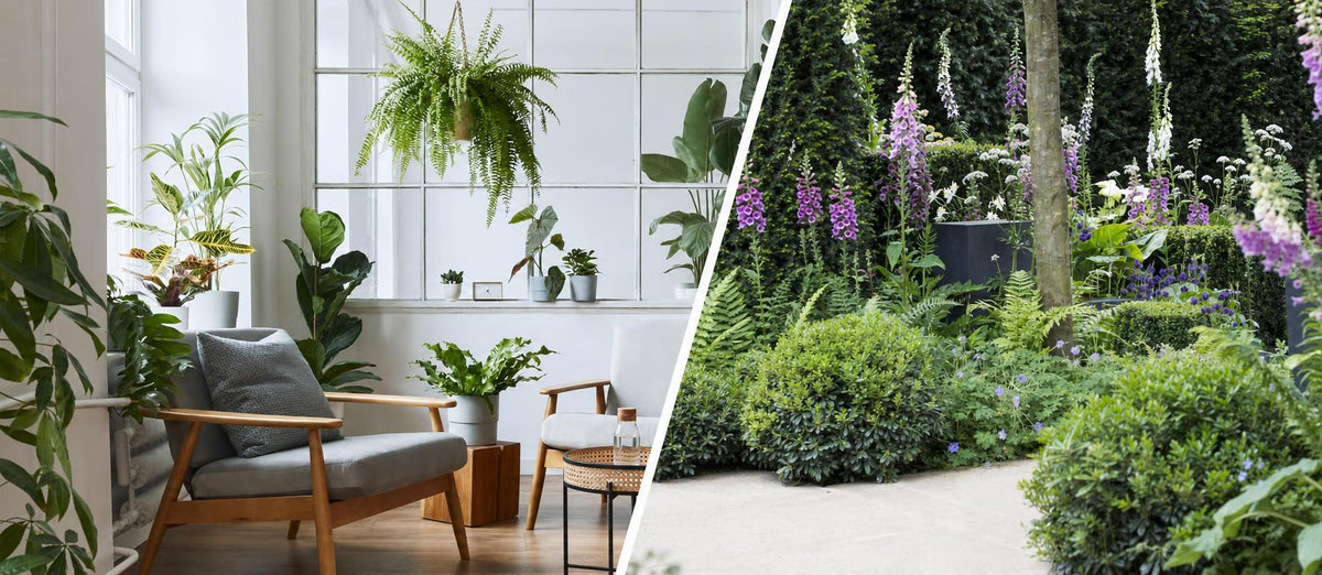 Des plantes pleines d'amour pour une vie remplie de bonheur