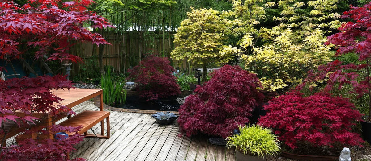 Votre jardin est-il prêt pour l’été indien ?