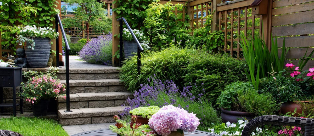 Top 10 des plantes de jardin à croissance rapide