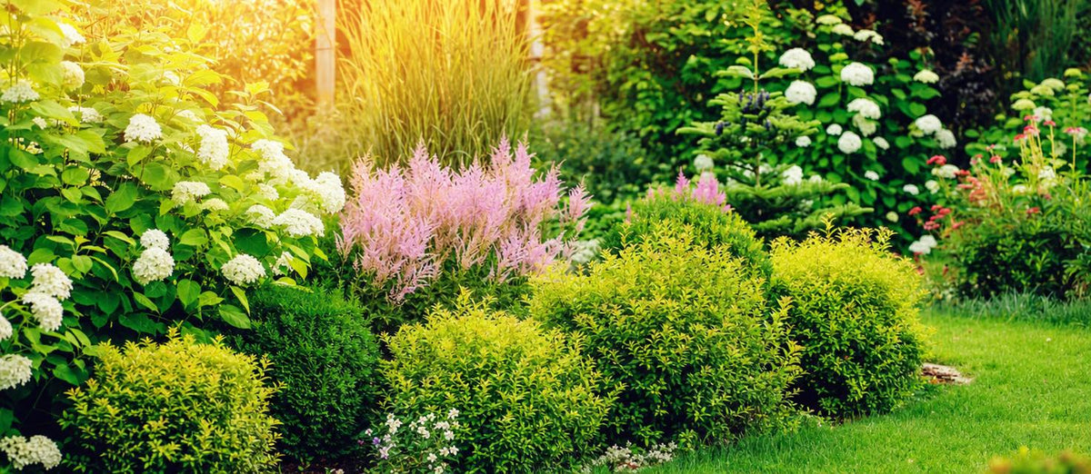 Préparez votre jardin à un été chaud