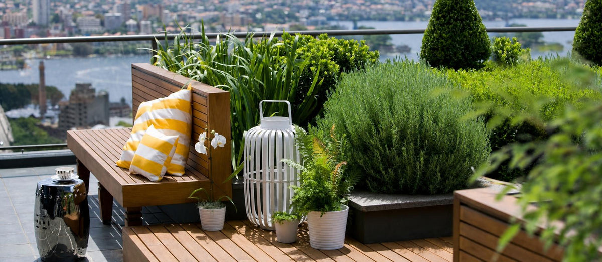 Le toit-terrasse