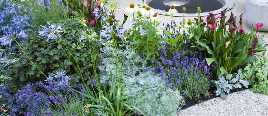 Jardiner 2.0 : combiner des plantes vivaces et des bulbes de fleurs