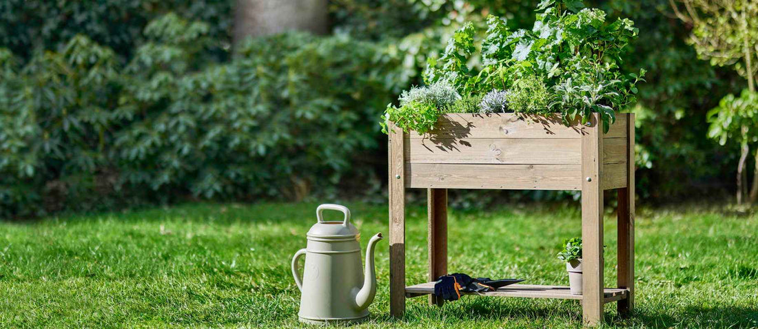 Un potager : par où commencer ?