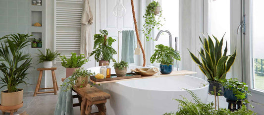 Créez votre propre spa à domicile
