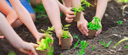 Cinq activités de jardinage pour vos enfants