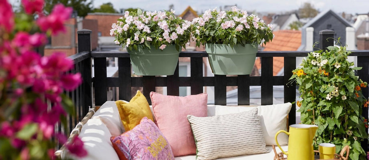 Quelles plantes choisir pour votre balcon en fonction de son exposition?
