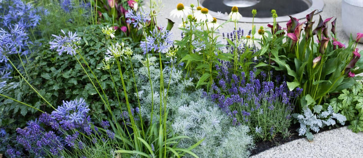 Jardiner 2.0 : combiner des plantes vivaces et des bulbes de fleurs