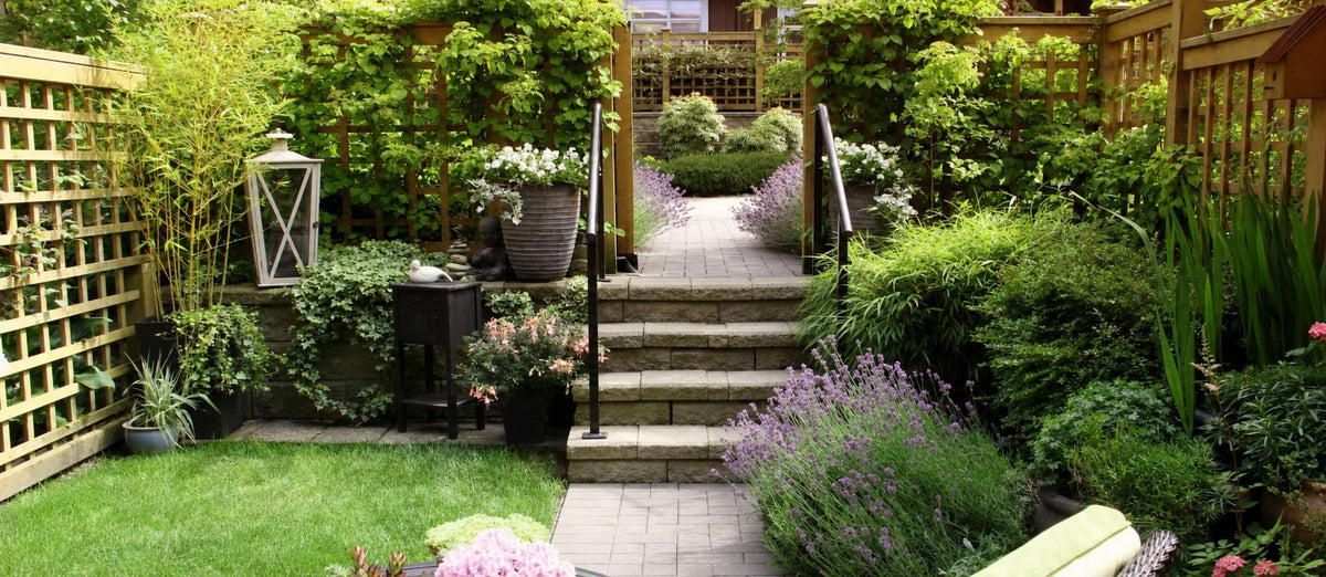 Les arbustes de jardin verts et colorés : haies, arbustes et plantes grimpantes
