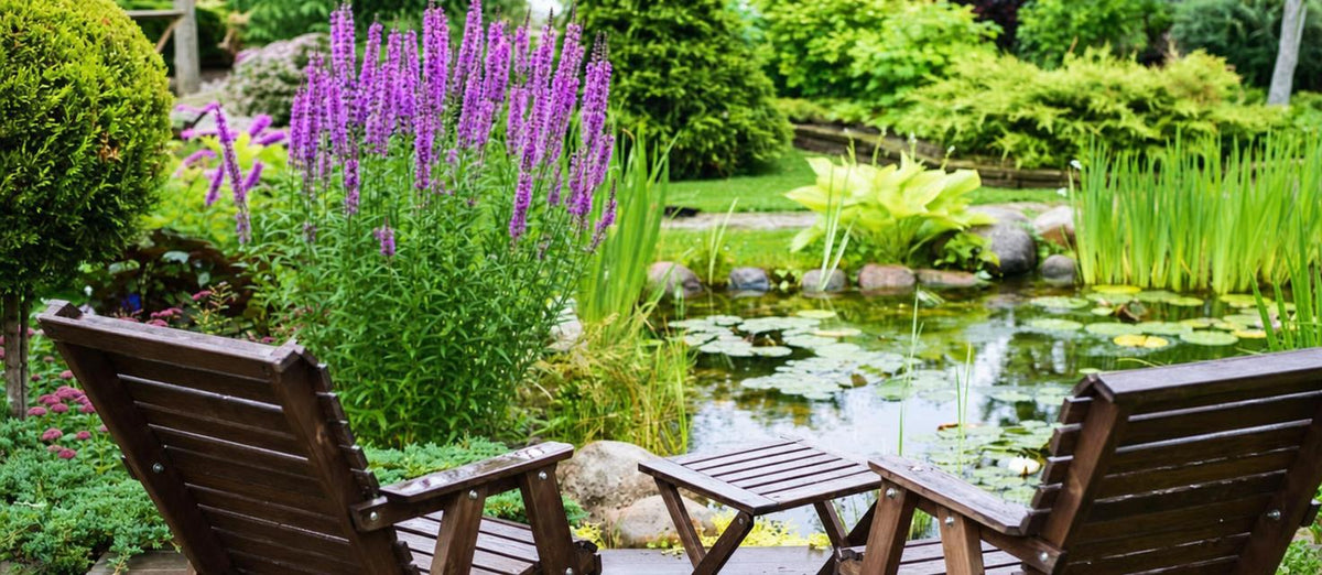 Décorez votre bassin avec des plantes