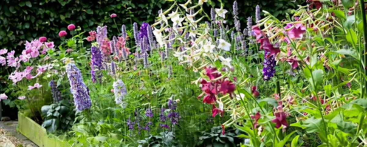 Un bouquet de fleurs de votre propre jardin
