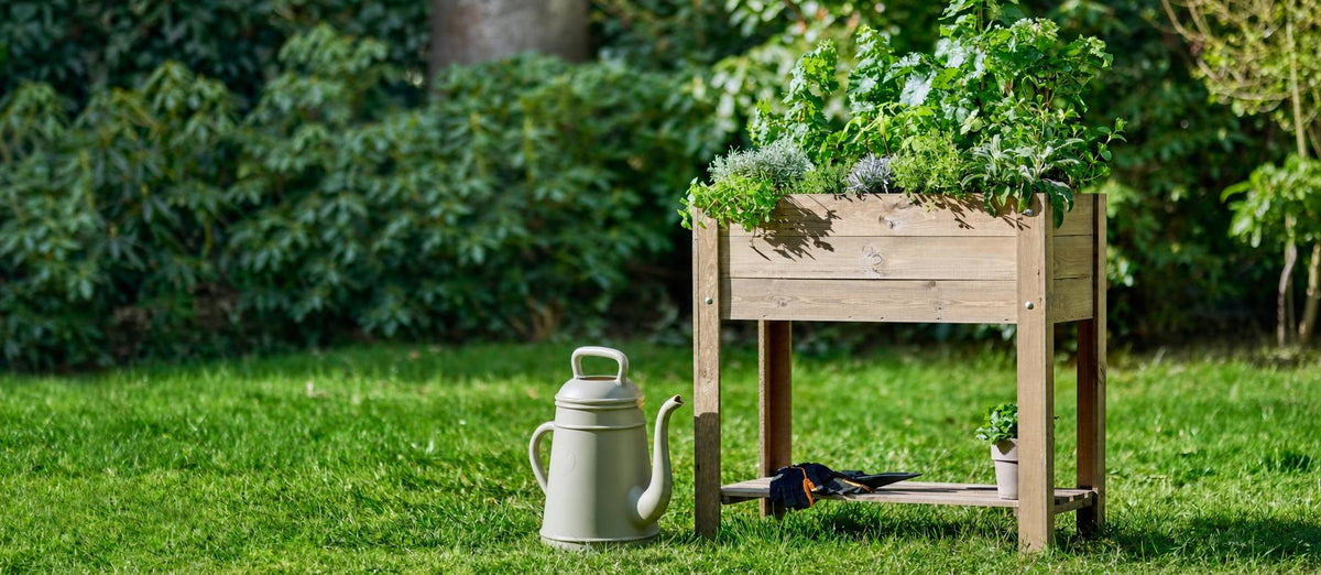 Un potager : par où commencer ?