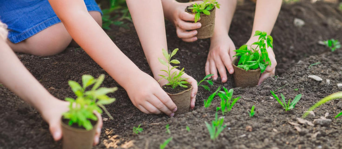 Cinq activités de jardinage pour vos enfants