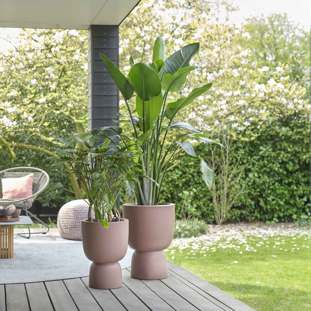 Nouveaux pots de fleurs