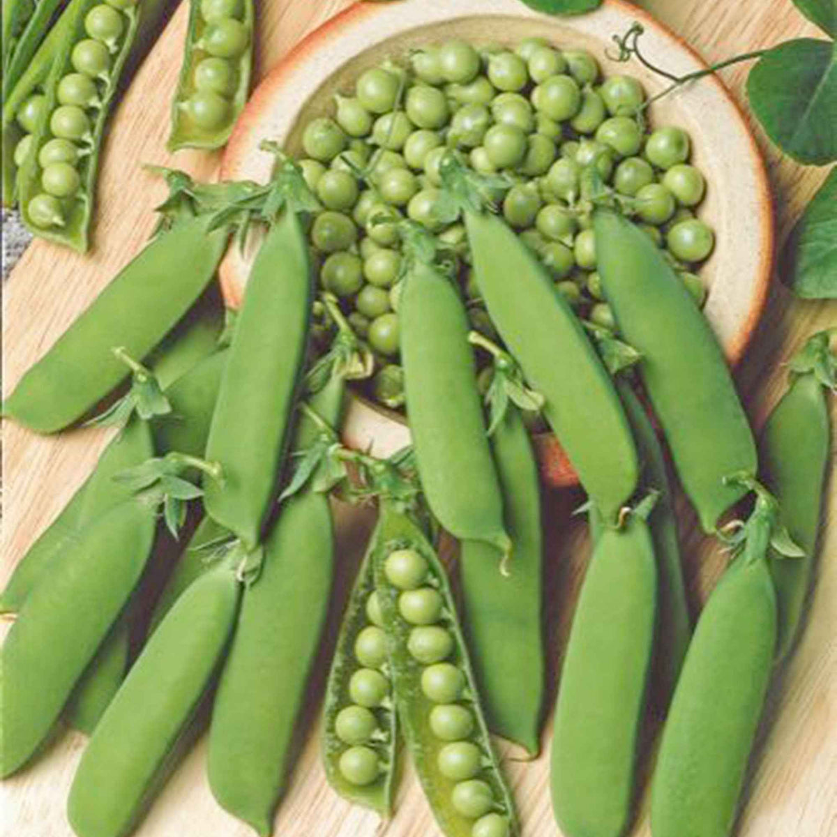 Graines pour potager