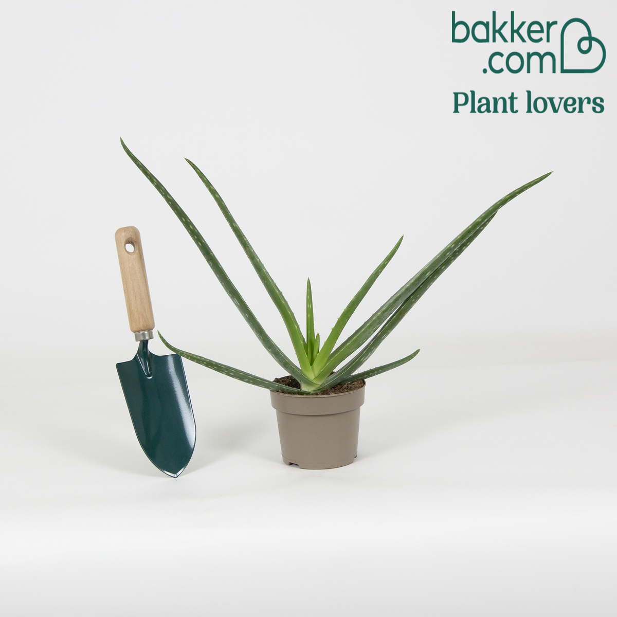 Bakker - Aloe vera - Aloe vera