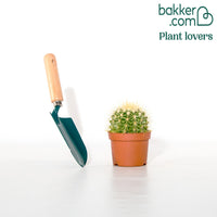 Coussin de belle-mère