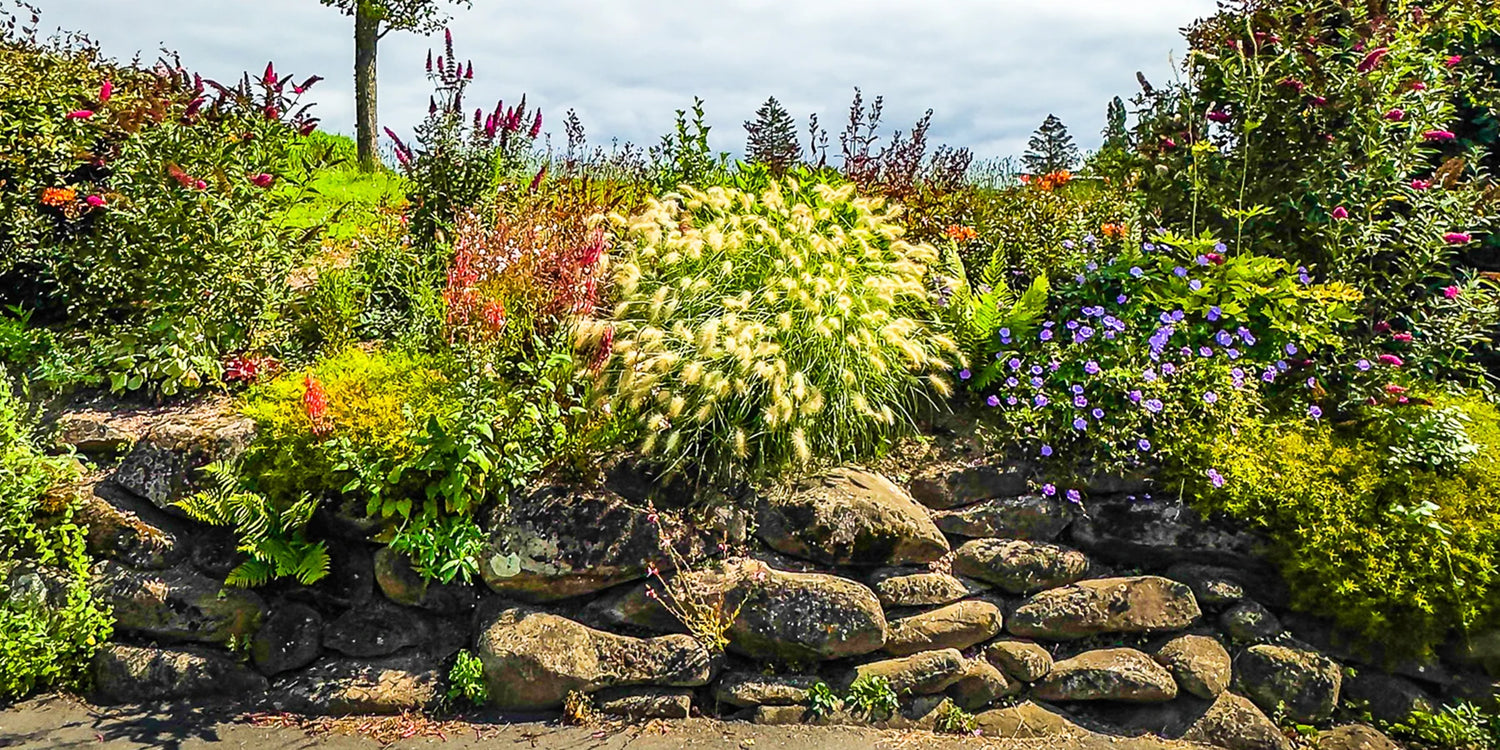 Les Green Days continuent jusqu’à -50% ! >