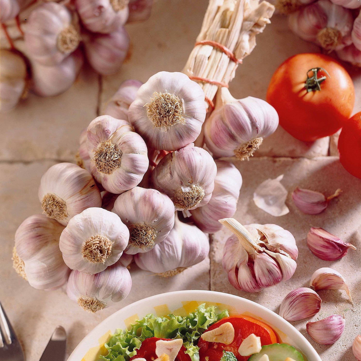 Allium sativum - Ail cultivé