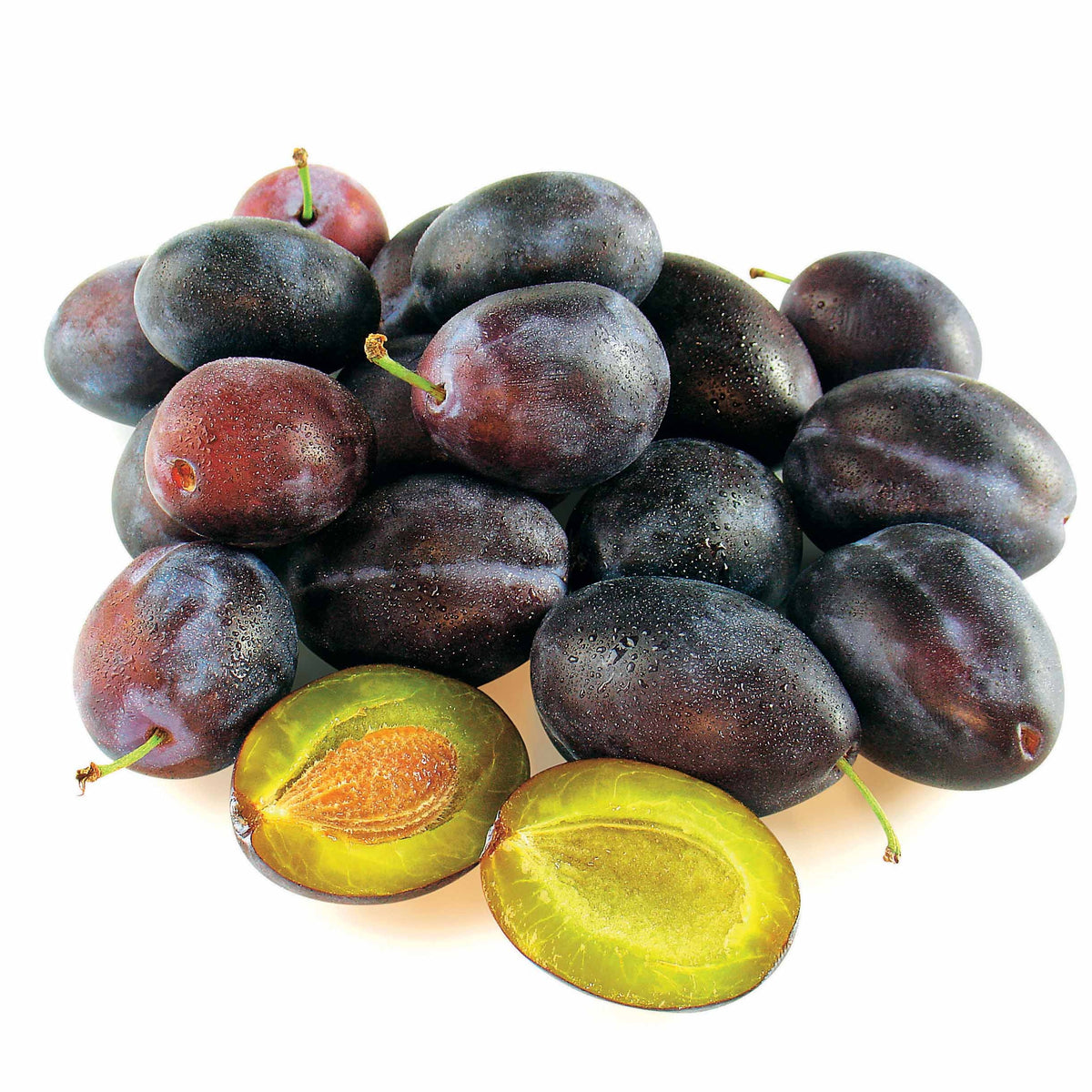 Vente Prunier Quetsche d'Alsace
