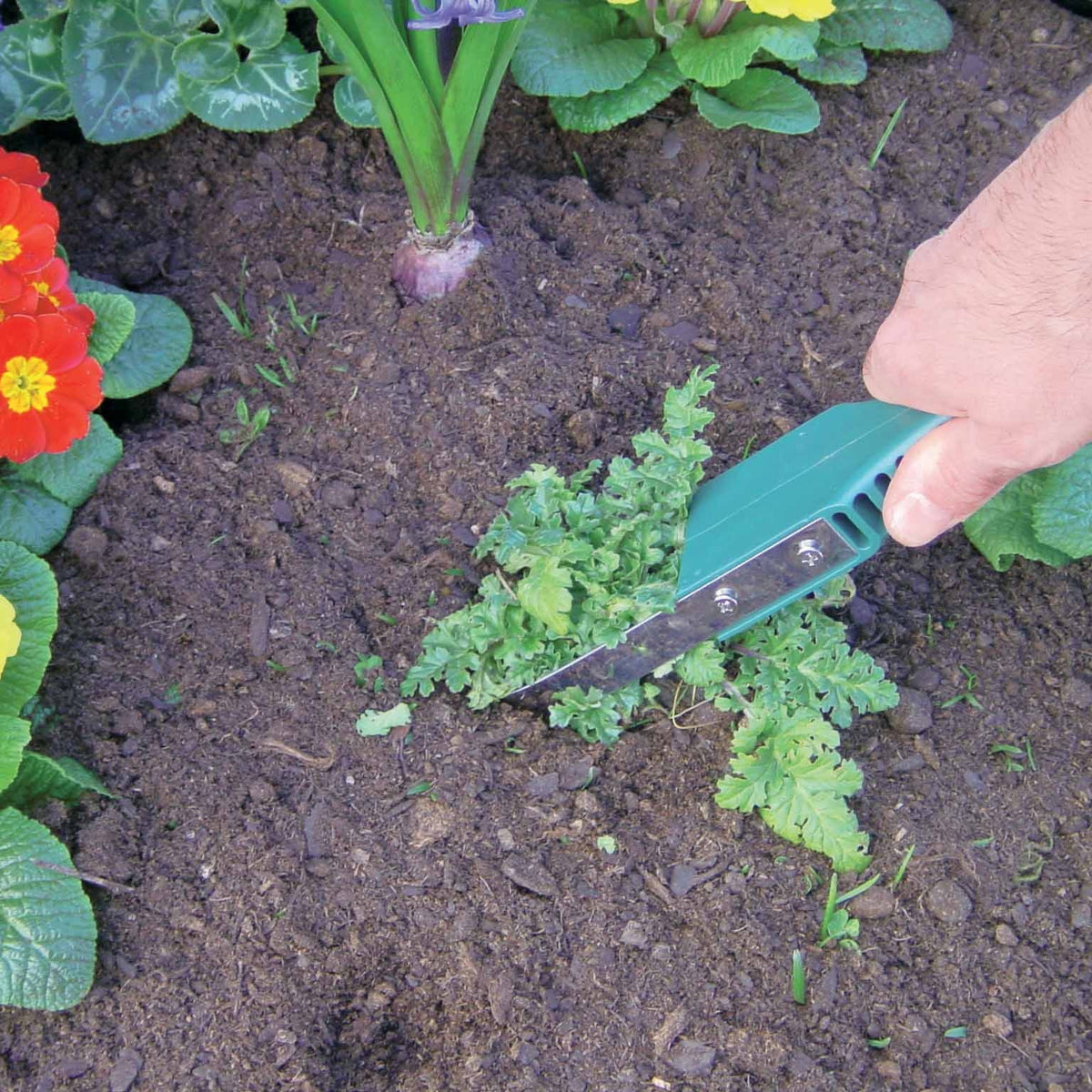 Arrache mauvaises herbes -  - Bakker