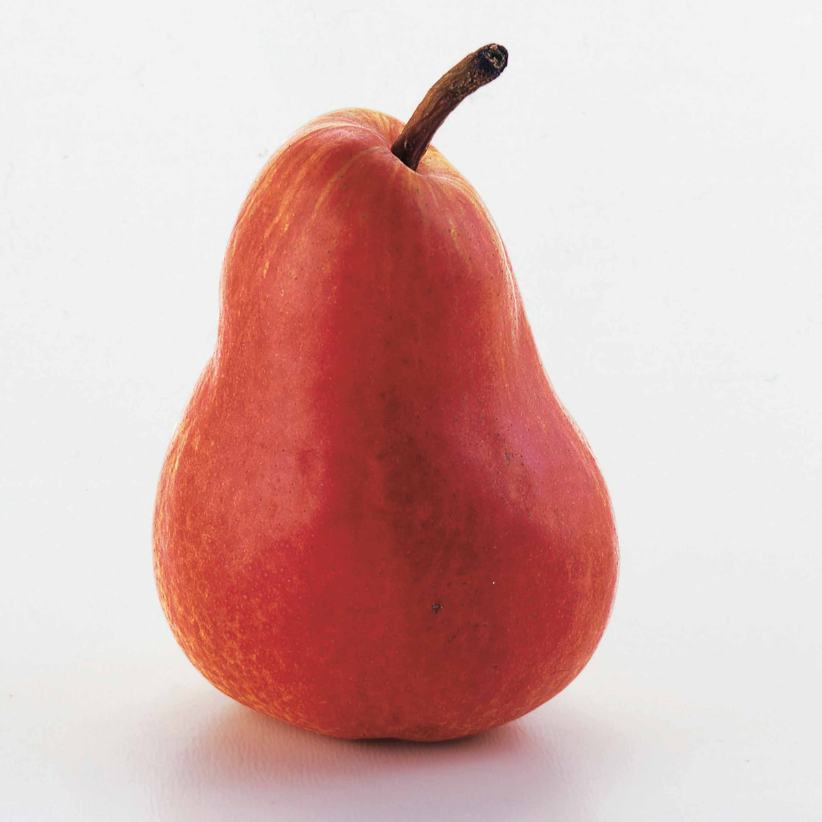 Poiriers - Poirier William's rouge - Pyrus communis William's red