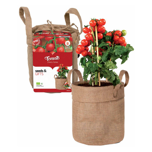 Kit Tomate cerise avec sac déco et terreau - Bakker