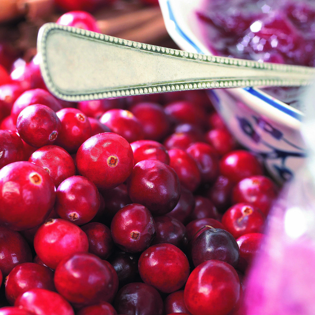 Vente Canneberge - Cranberry
