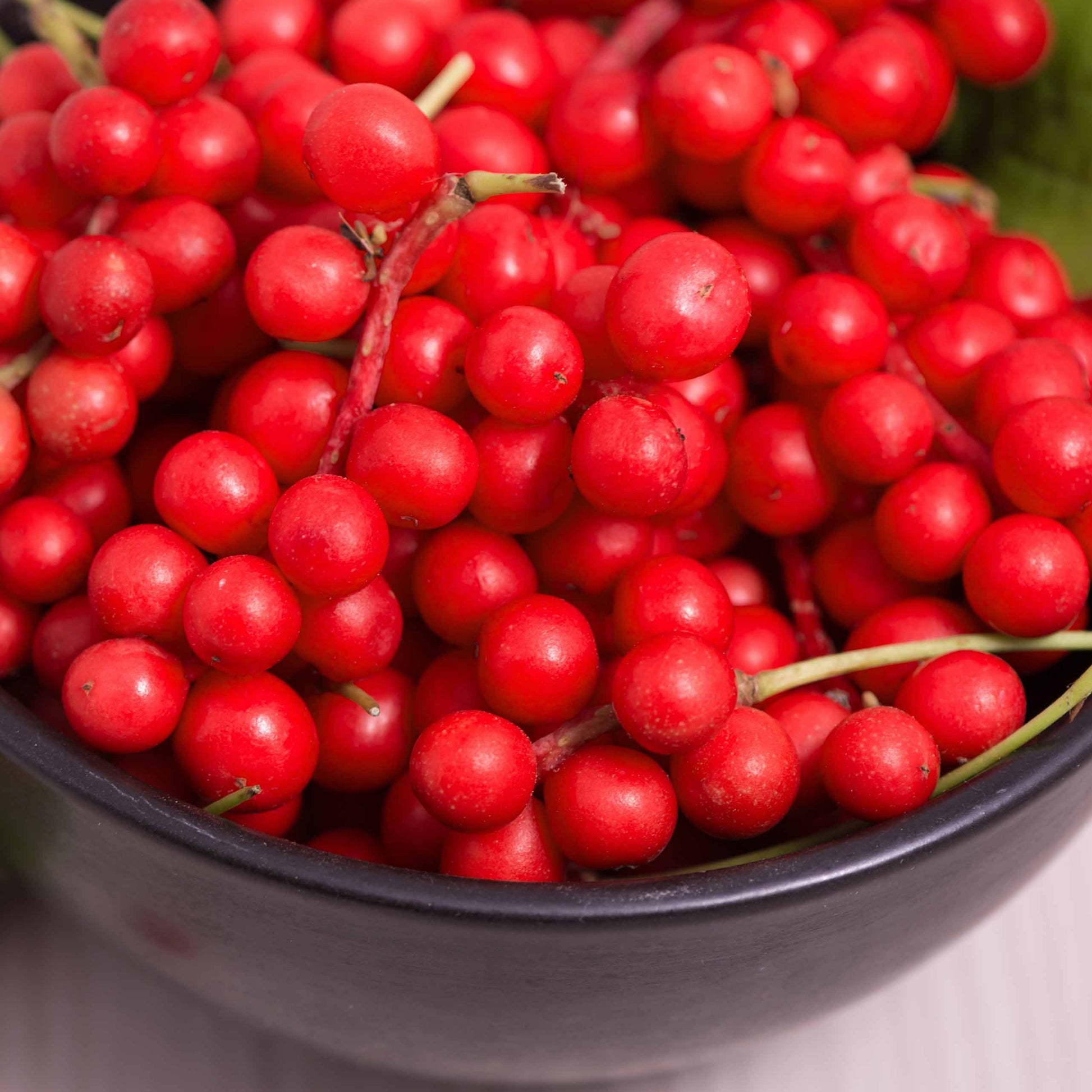 Fruit de la vitalité - Bakker.com | France