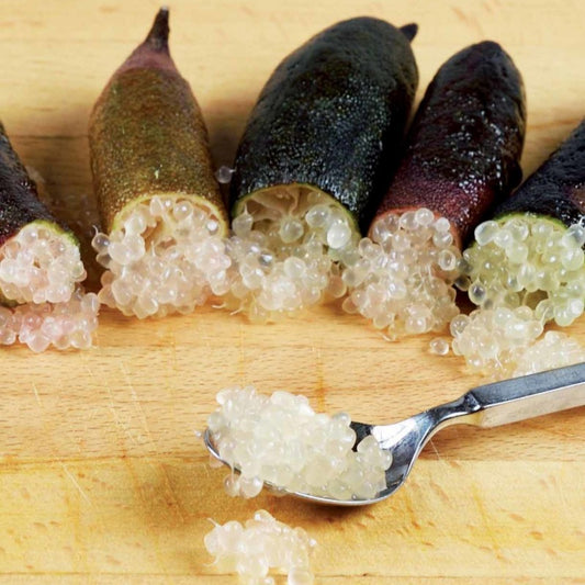 Citron caviar - Bakker
