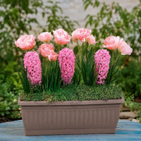 Bulbes à floraison printanière en mélange - Bakker