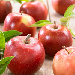 Pommier 'Jonagold' - Bakker