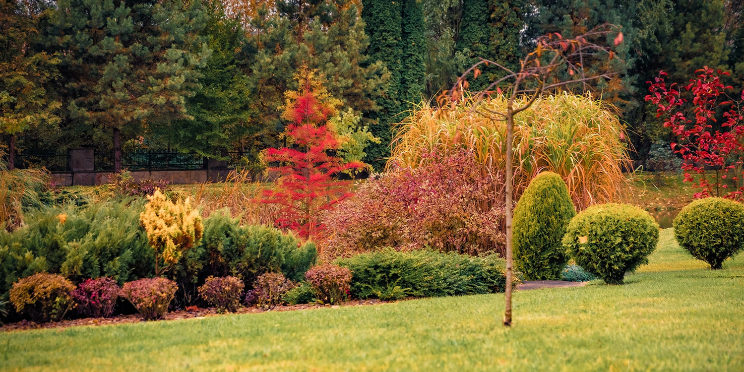 Jusqu'à -30% sur les couleurs d'automne