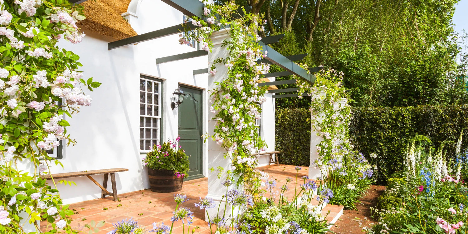 Le charme des jardins verticaux : jusqu’à -30% de remise !