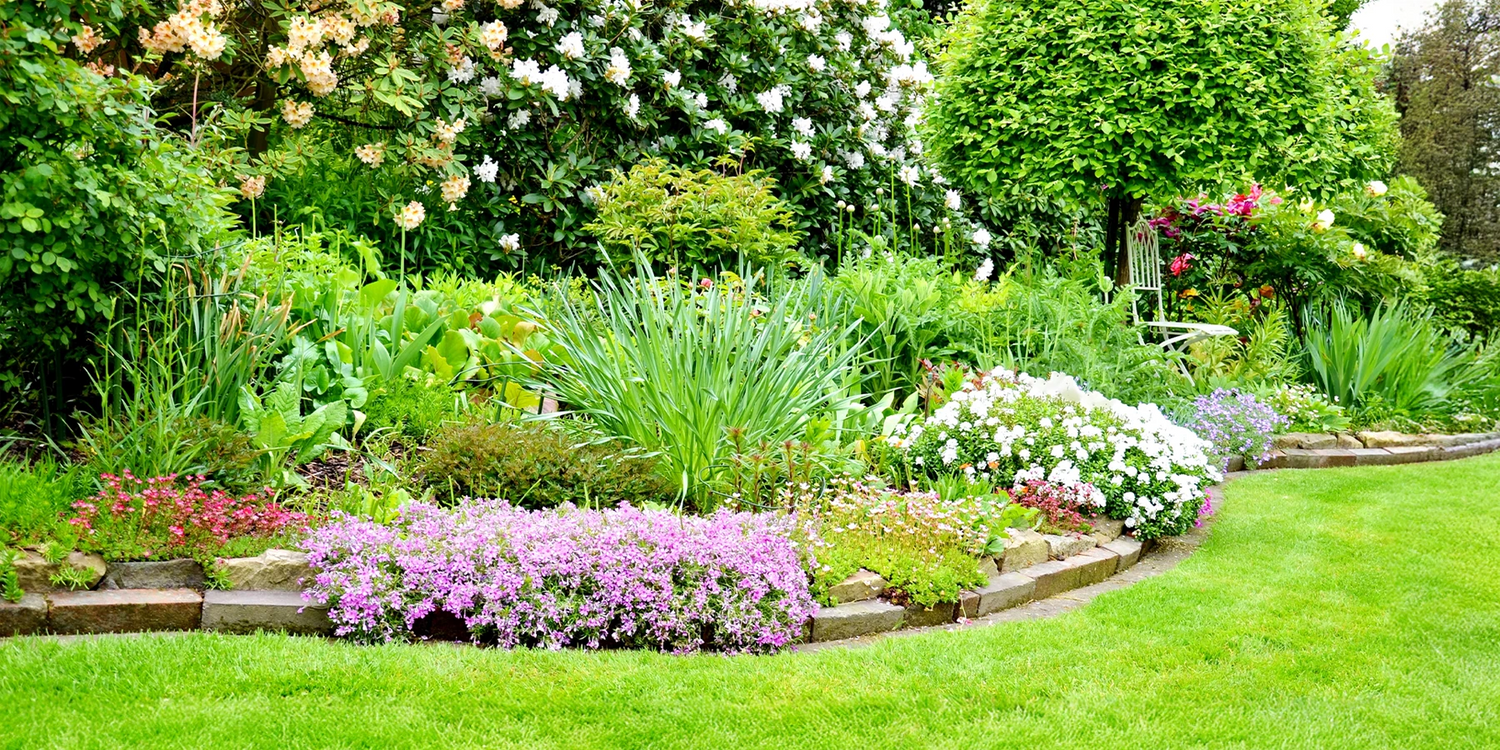 Jusqu'à -30% pour un jardin facile !
