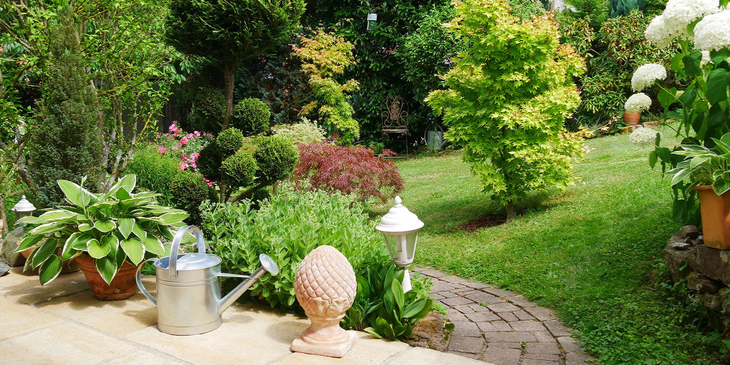 Jusqu'à -25% : des idées simples pour un jardin qui vous ressemble !